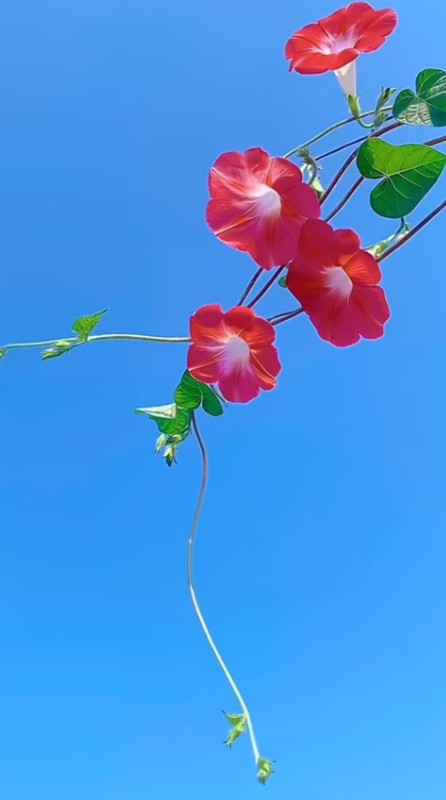 ScreenShot_2026-08-30_221012_428.png