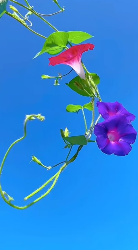 ScreenShot_2026-08-30_221034_827.png