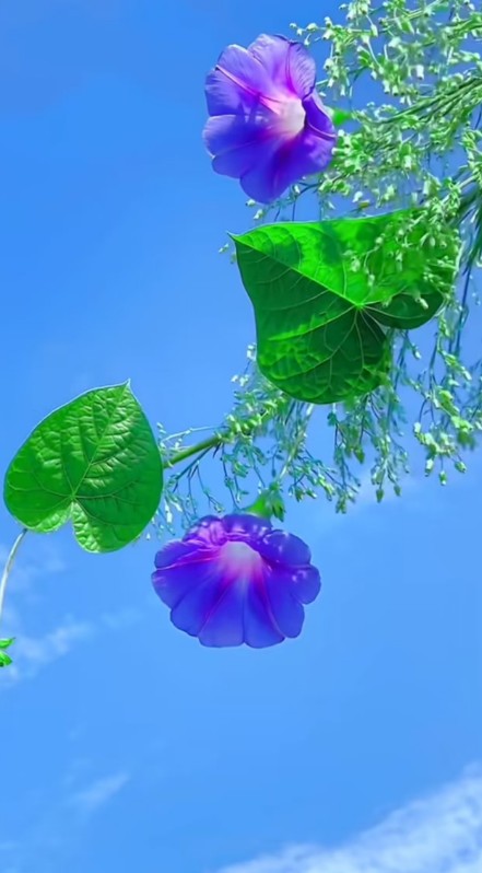ScreenShot_2026-08-30_220951_162.png