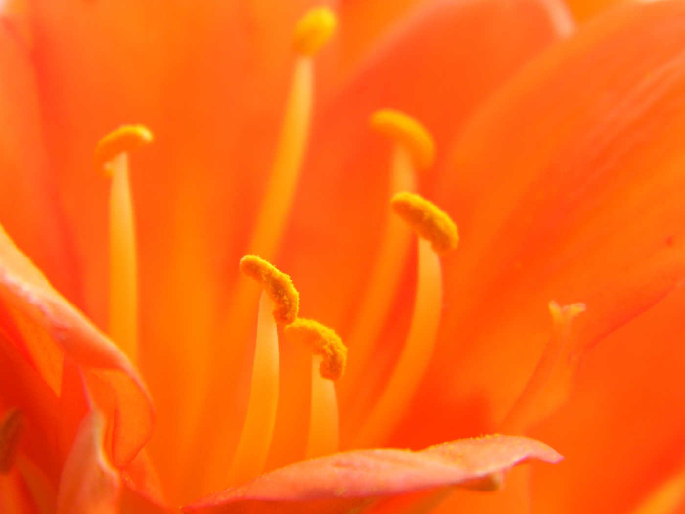 DSCN9196.JPG