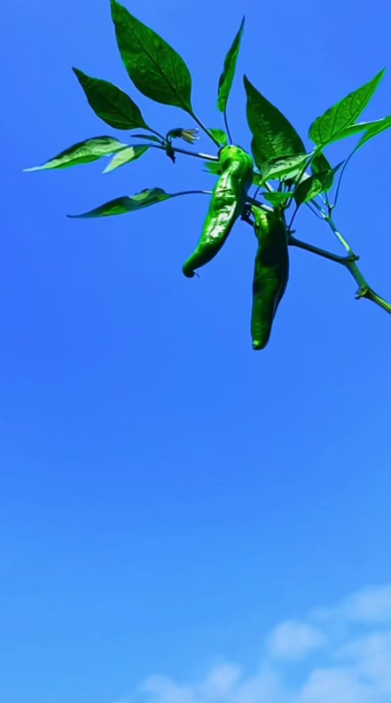 ScreenShot_2026-08-30_220659_818.png