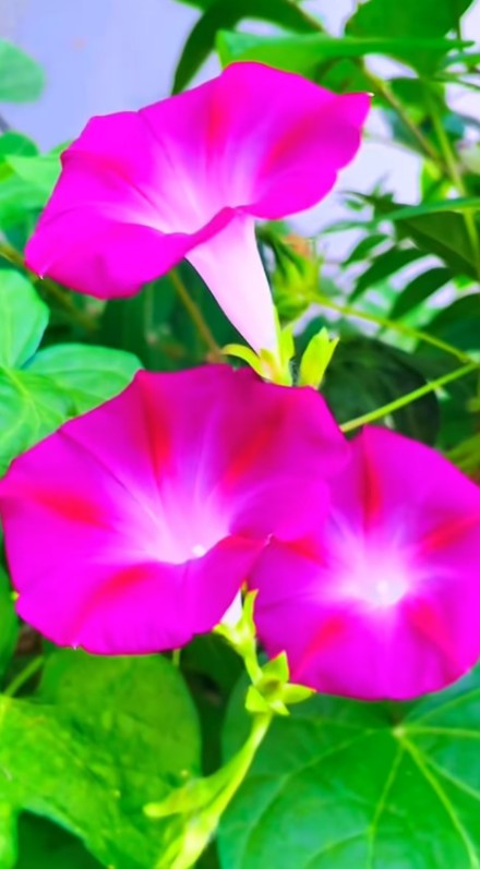 ScreenShot_2026-08-29_210419_081.png