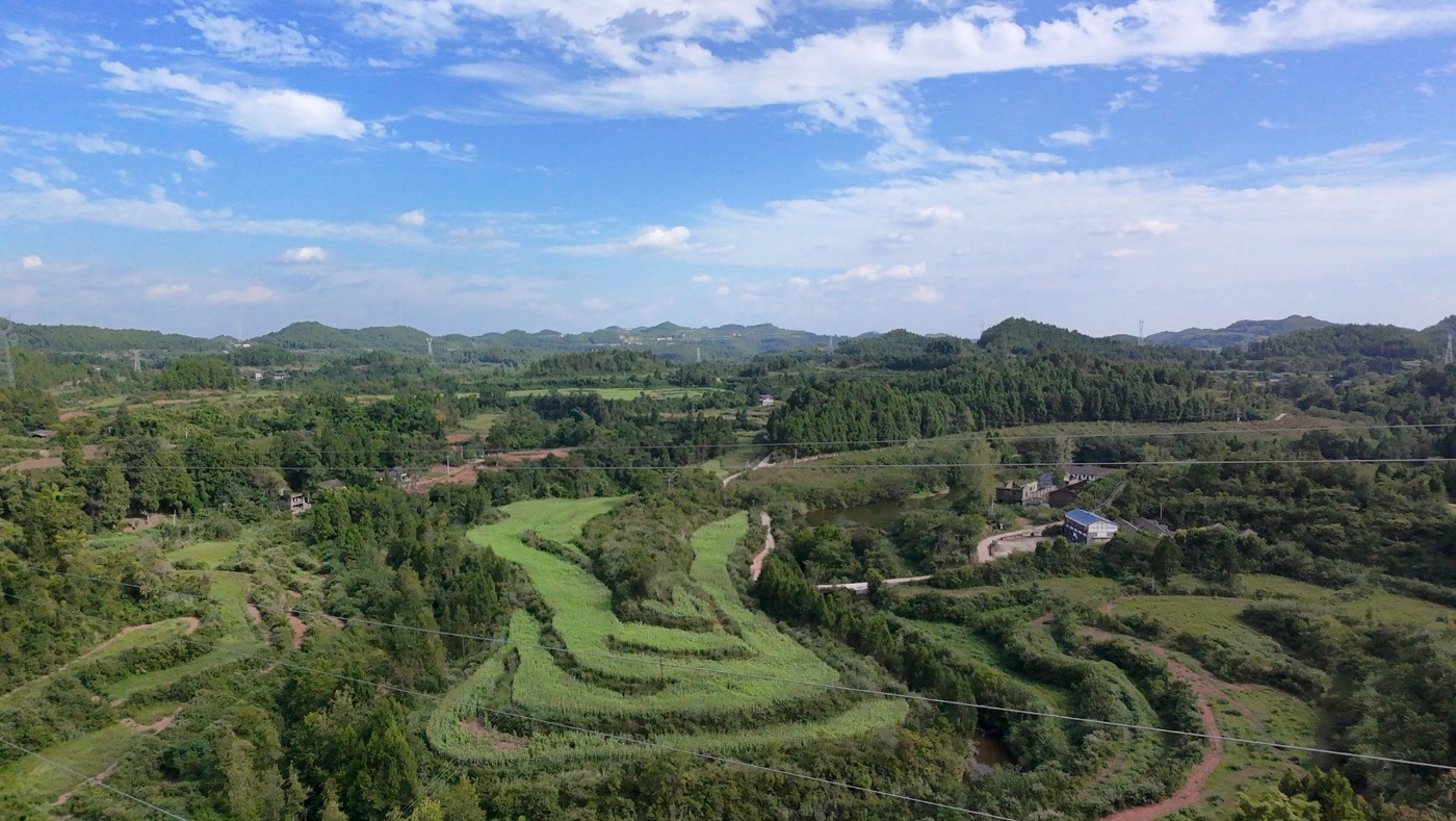 DJI_20260830160254_0104_D.JPG