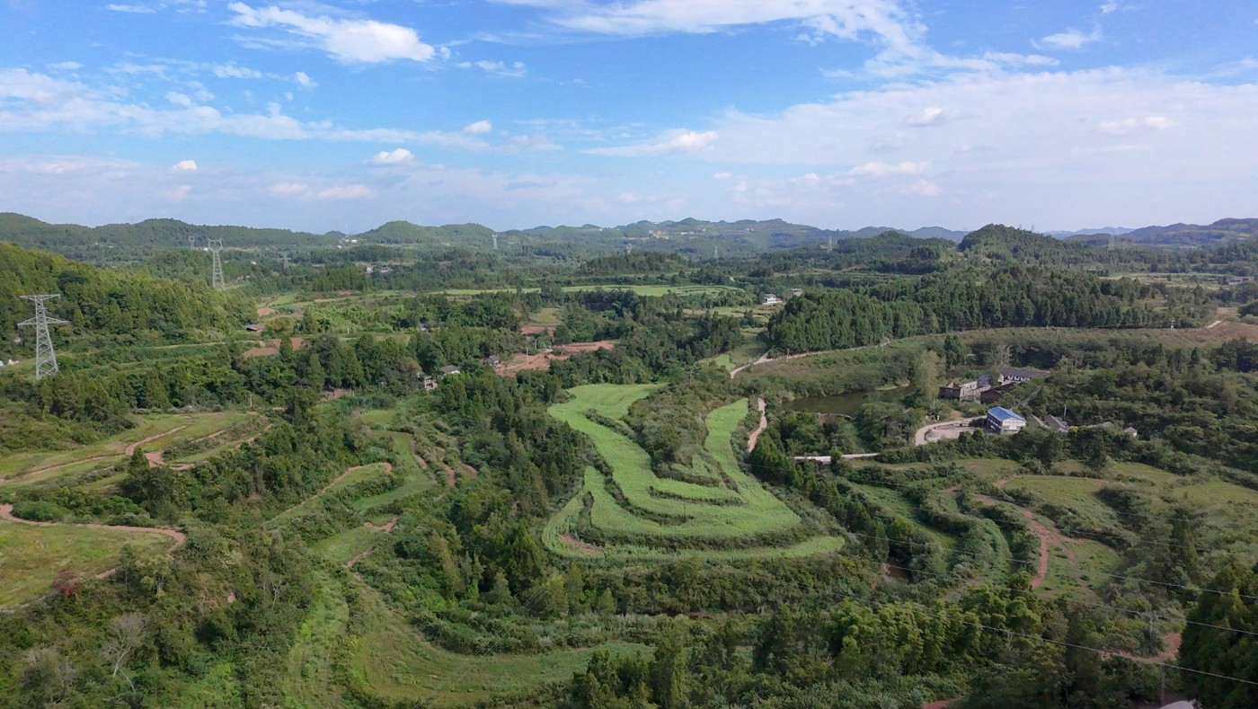 DJI_20260830160329_0105_D.JPG