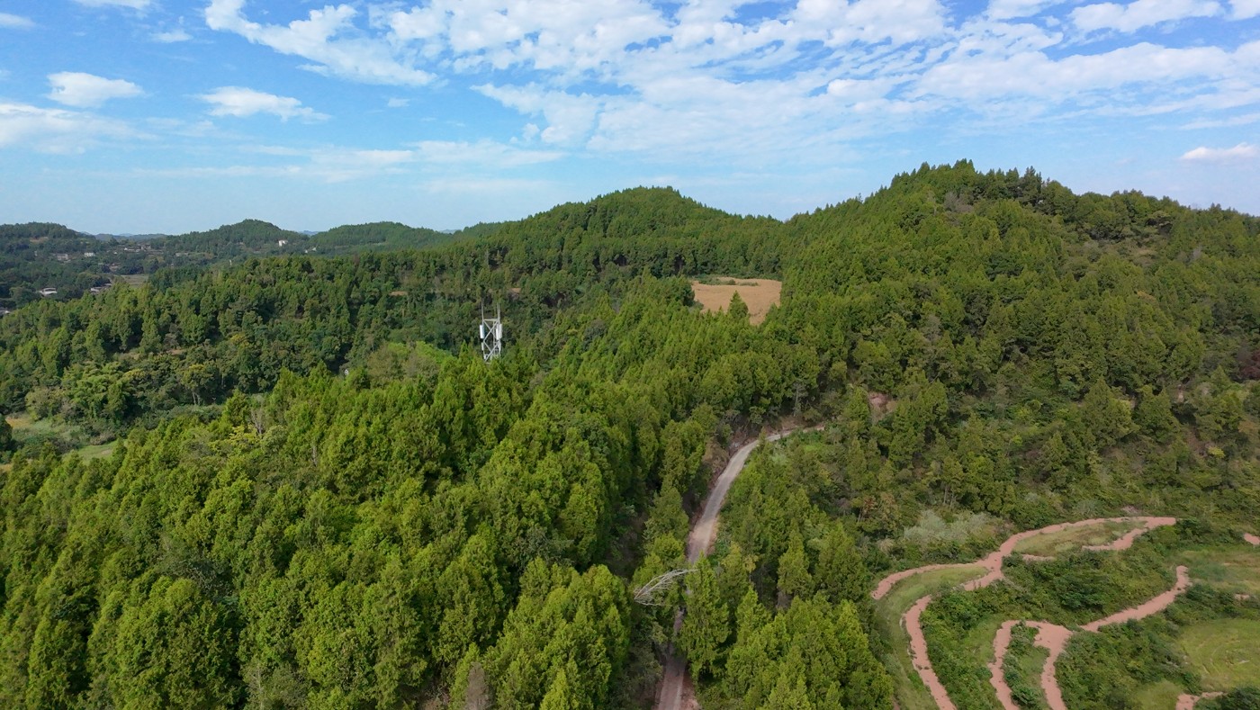 DJI_20260830160339_0107_D.JPG