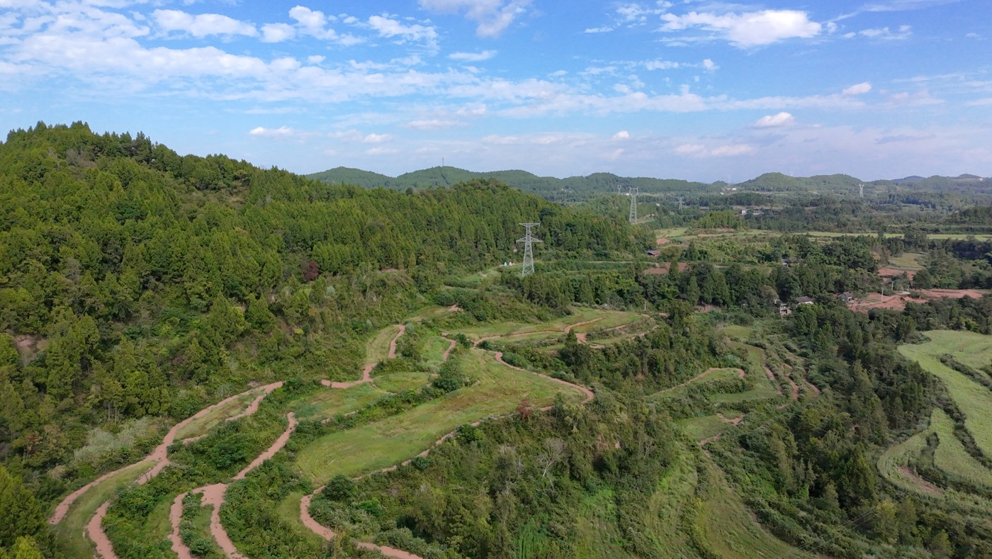 DJI_20260830160336_0106_D.JPG