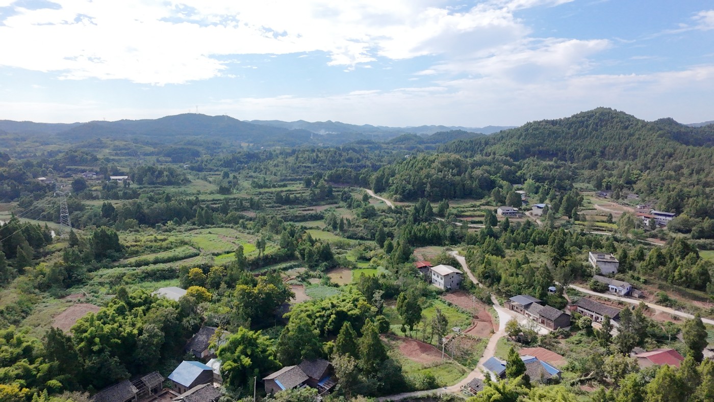 DJI_20260830160349_0109_D.JPG