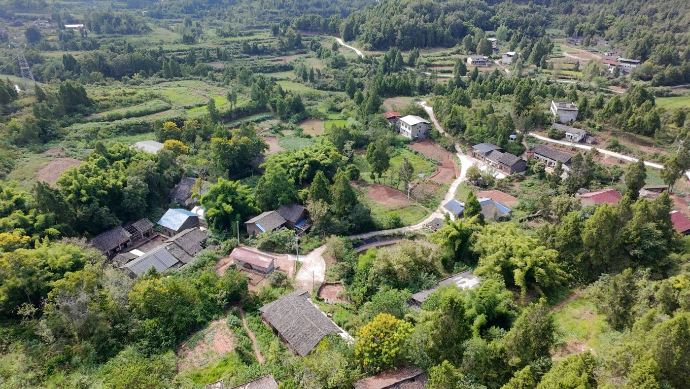 DJI_20260830160355_0110_D.JPG