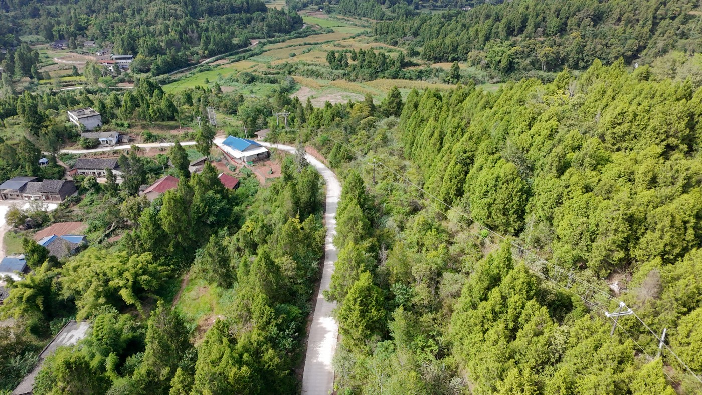 DJI_20260830160358_0111_D.JPG