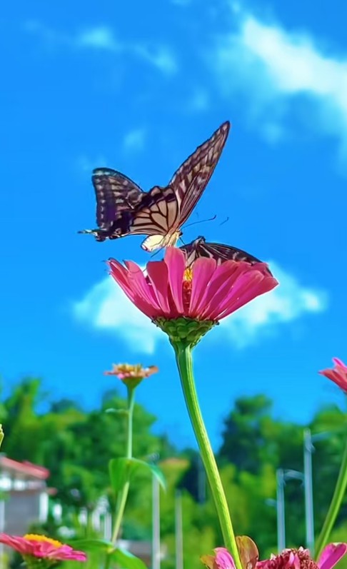ScreenShot_2026-08-31_212702_587.png