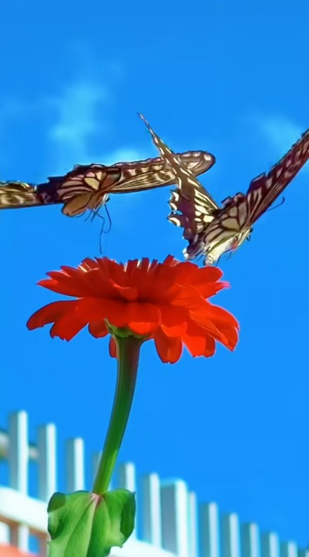 ScreenShot_2026-08-31_212644_618.png