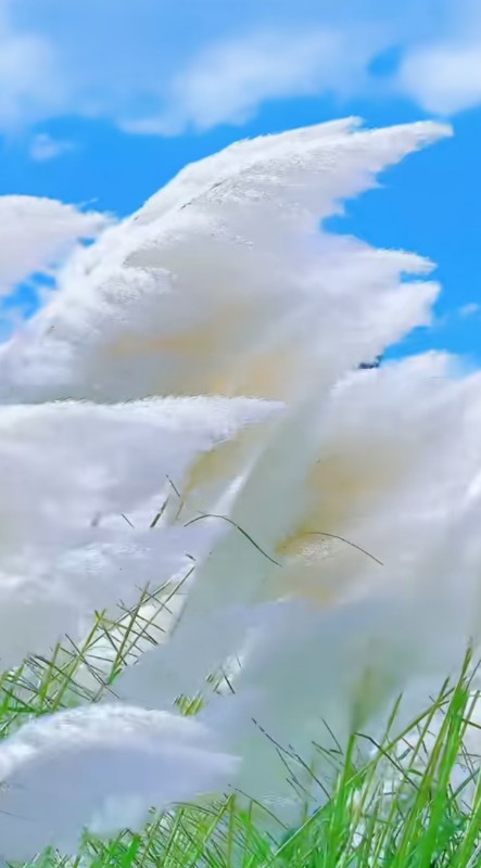 ScreenShot_2026-08-31_212548_370.png