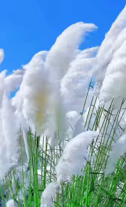 ScreenShot_2026-08-31_212610_291.png