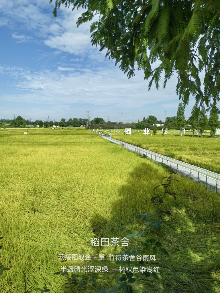 20260901062839front2_0_6080161_FkEEHoO_2LYzAlNq1kKH_pM0QLCg.jpg