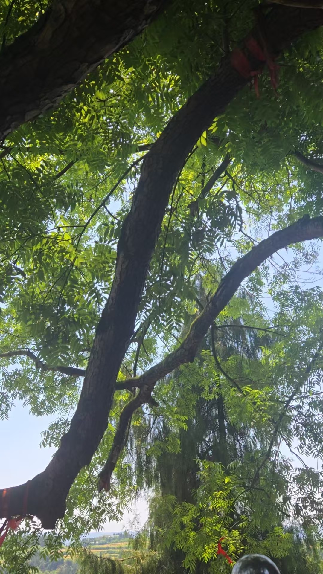 ΢��ͼƬ_20260506080909_666_234.jpg