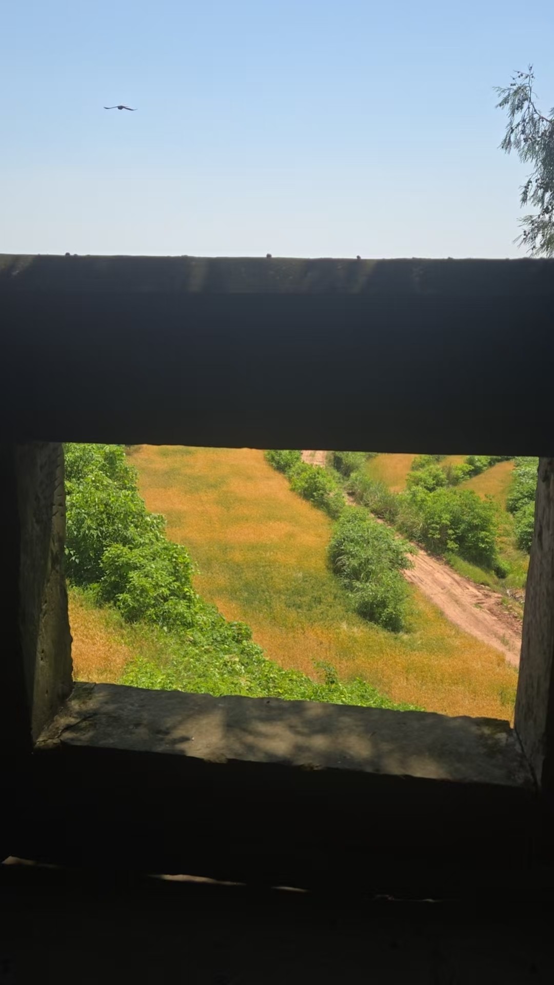 ΢��ͼƬ_20260506080933_692_234.jpg