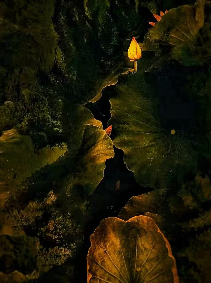 ΢��ͼƬ_20260721161154_407_317.jpg