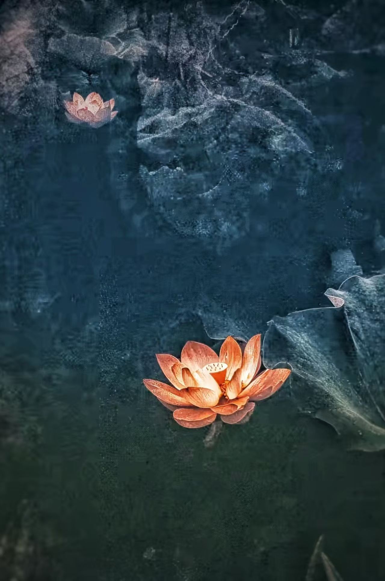 ΢��ͼƬ_20260721161158_408_317.jpg