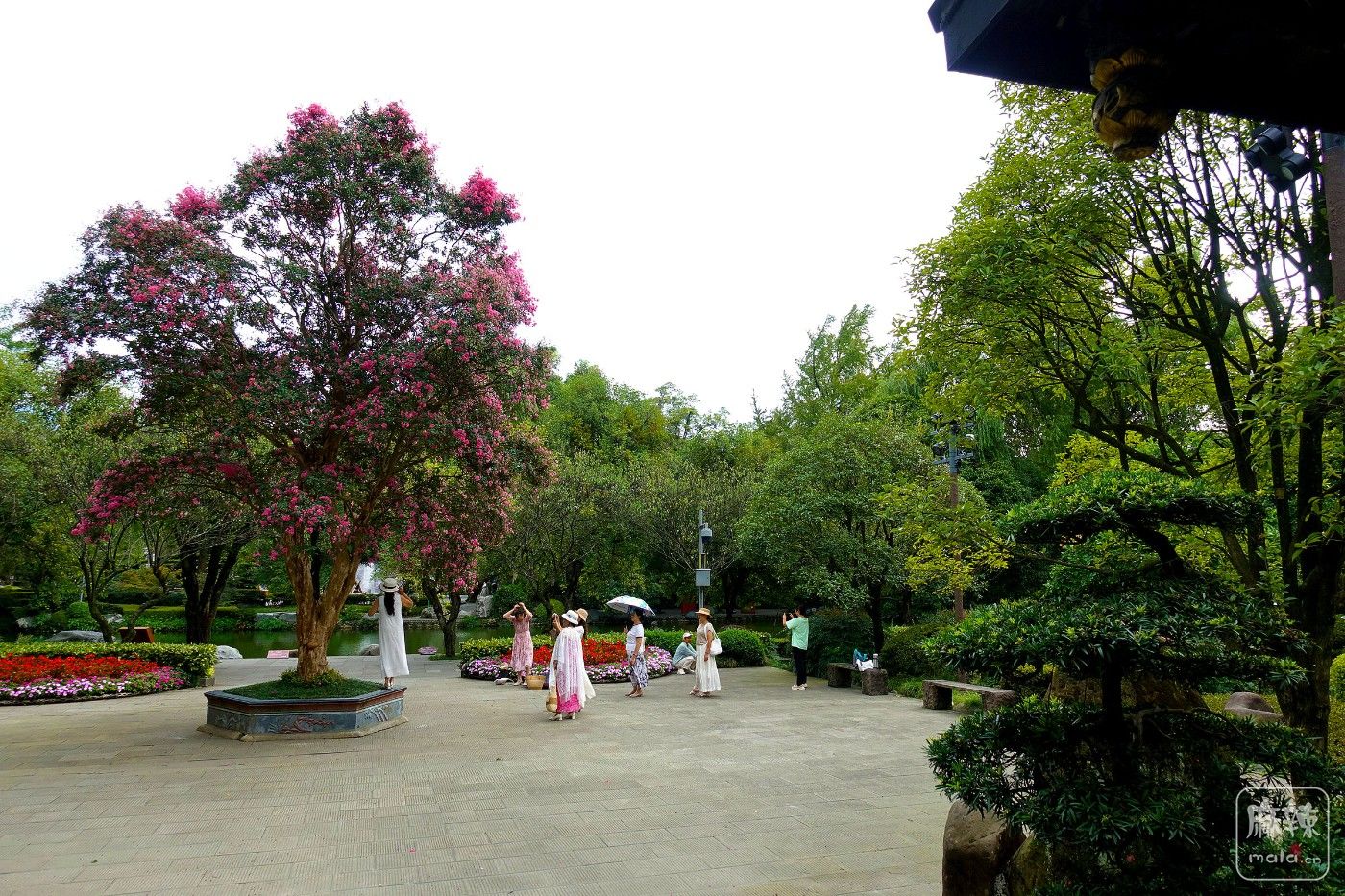 DSC04157.JPG