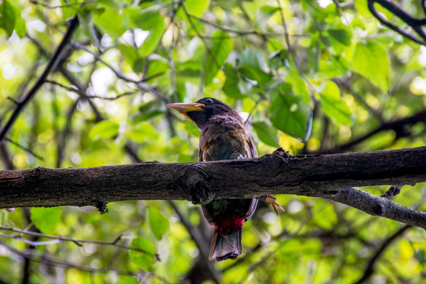 _DSC3240.jpg