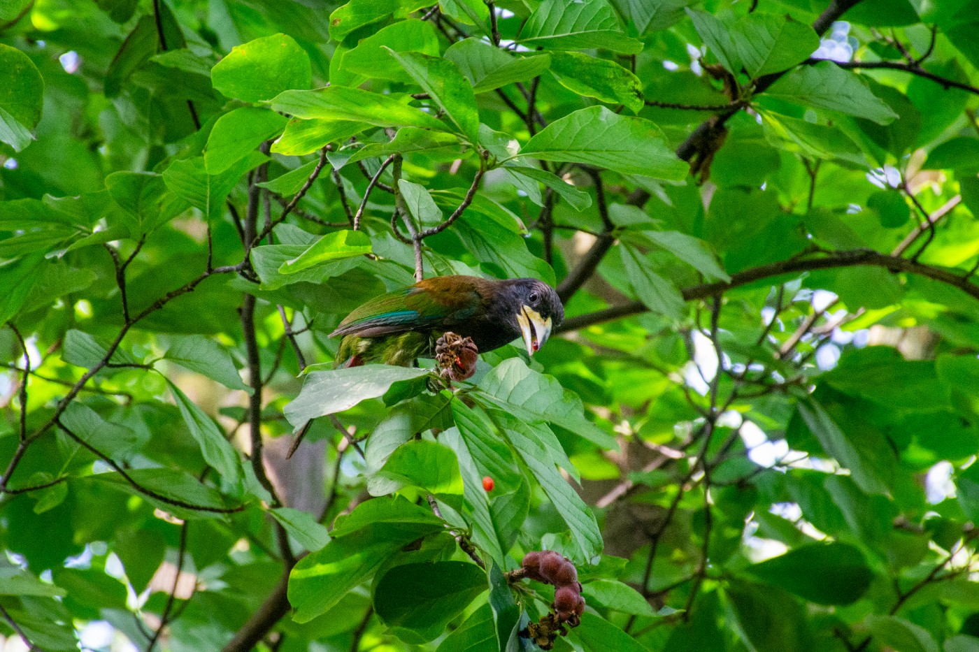 _DSC3357.jpg