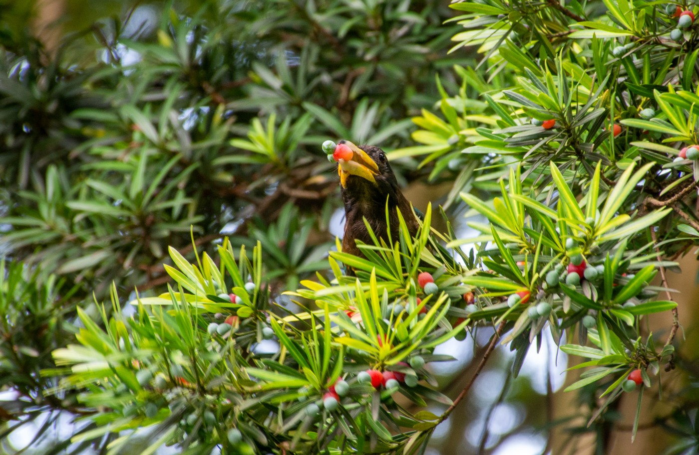 _DSC3589.jpg