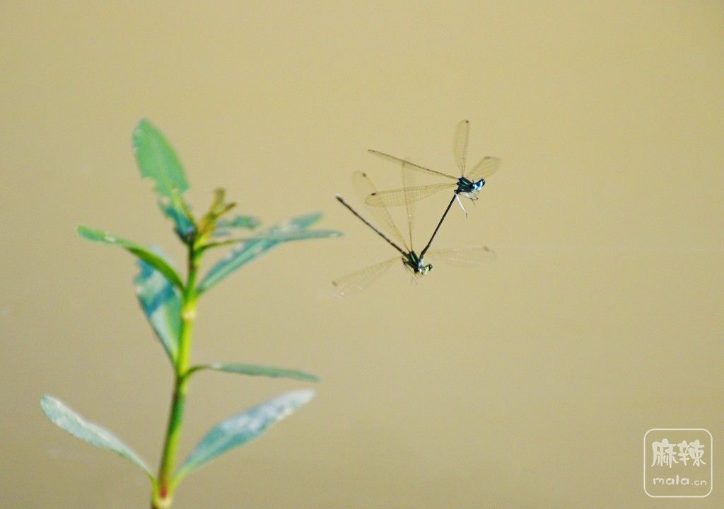 05.jpg