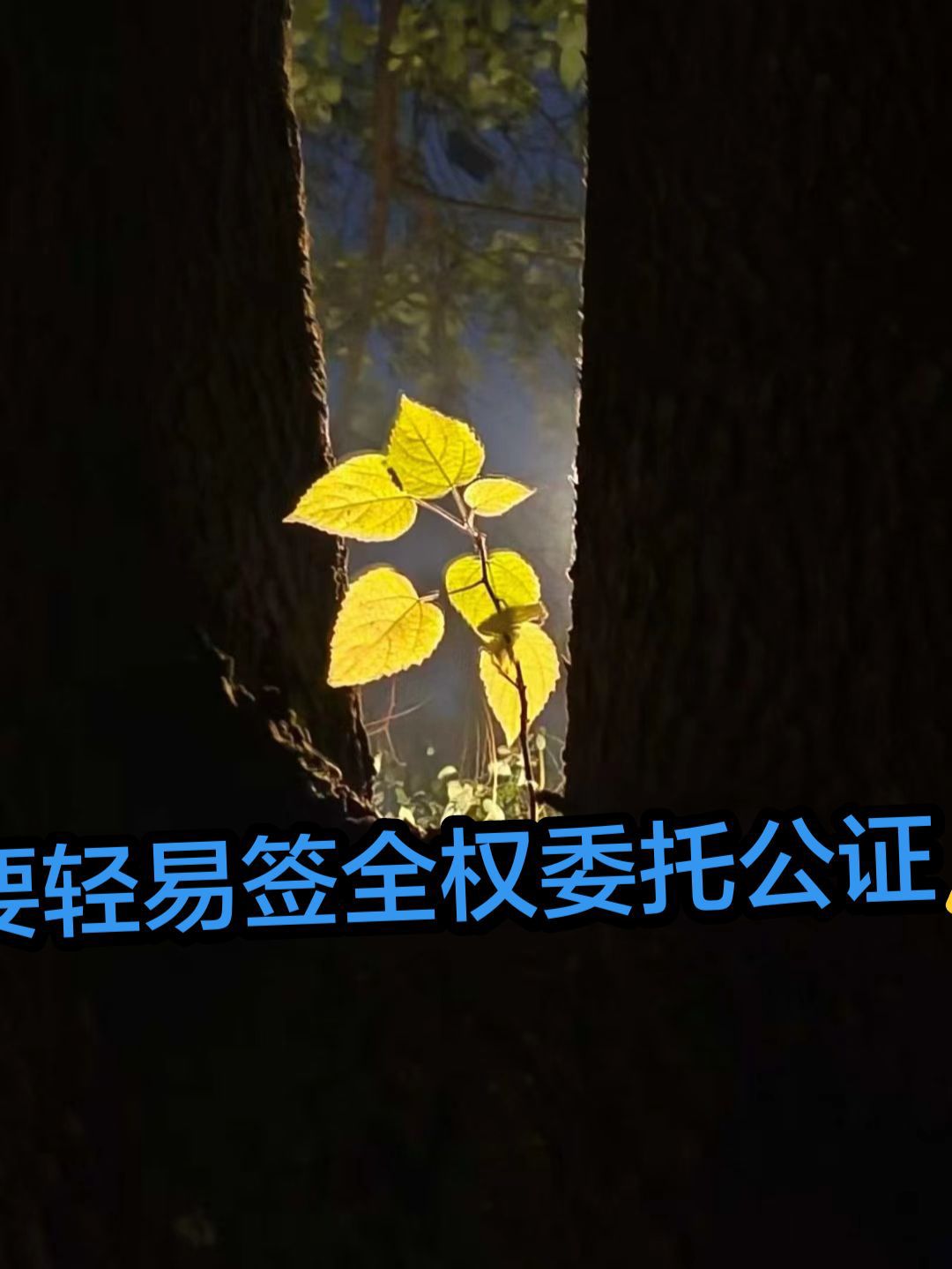 20260903120647front2_0_7954188_FnimuSmlsqx3J6VDF4s_iTUrVvcw.jpg