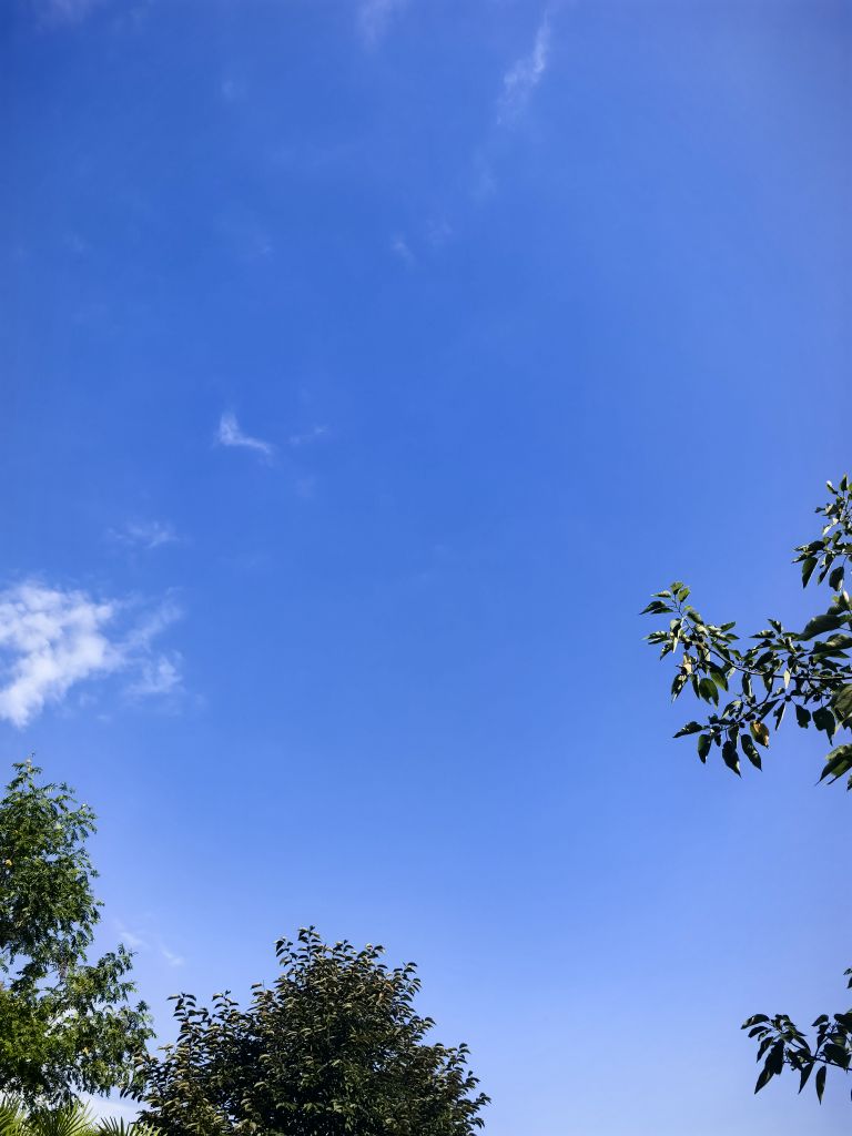 20260903121026front2_0_7405323_Fhena-3F-vr8XN4KXqT_nGDGguXe.jpg