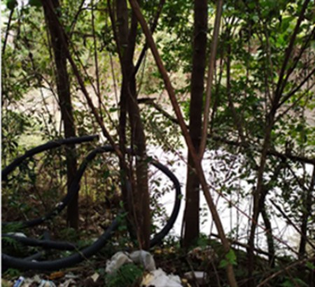 523db23b-2e51-42f0-8374-1d8f2f214029.png