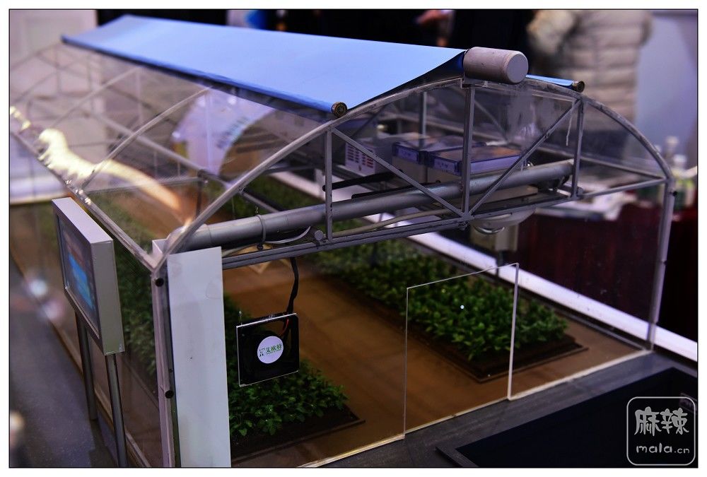 DSC_3063.jpg