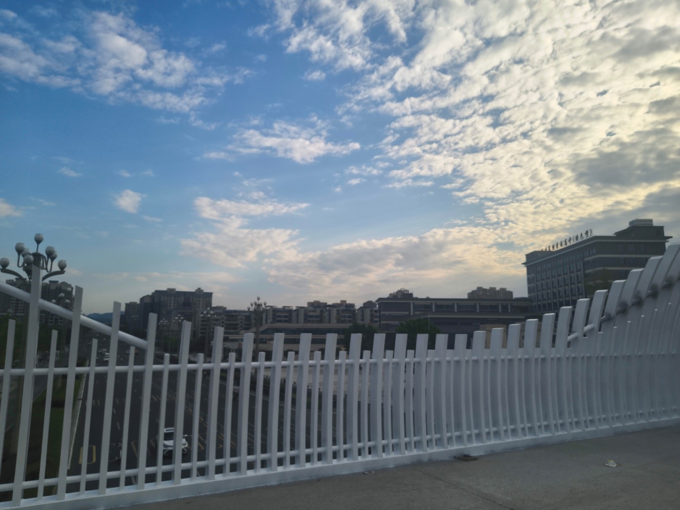 IMG_20260904_174545.jpg