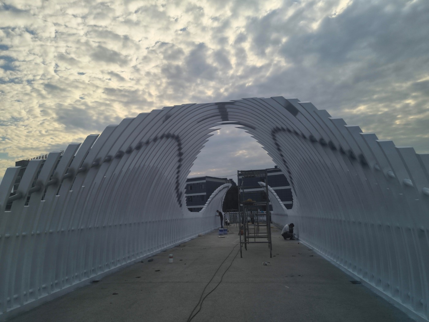 IMG_20260904_174512.jpg