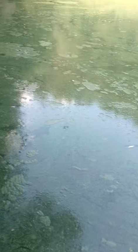 ţ���ϴ�������״