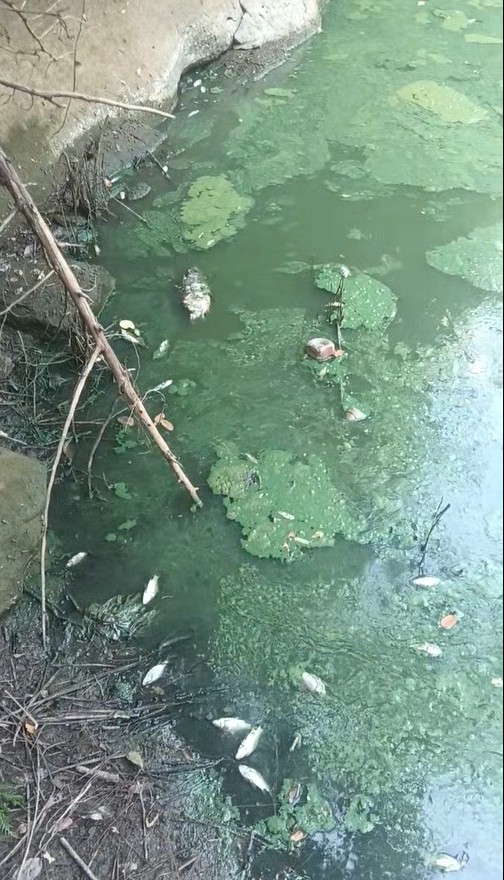 ţ���ϴ�������״