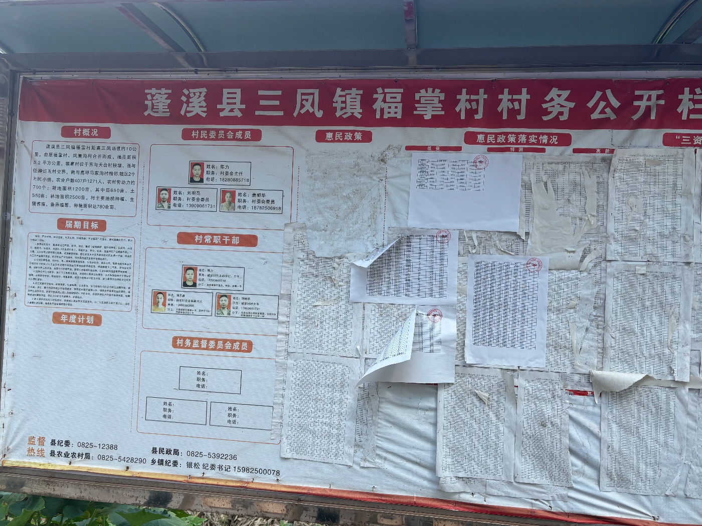 IMG_3729.jpeg