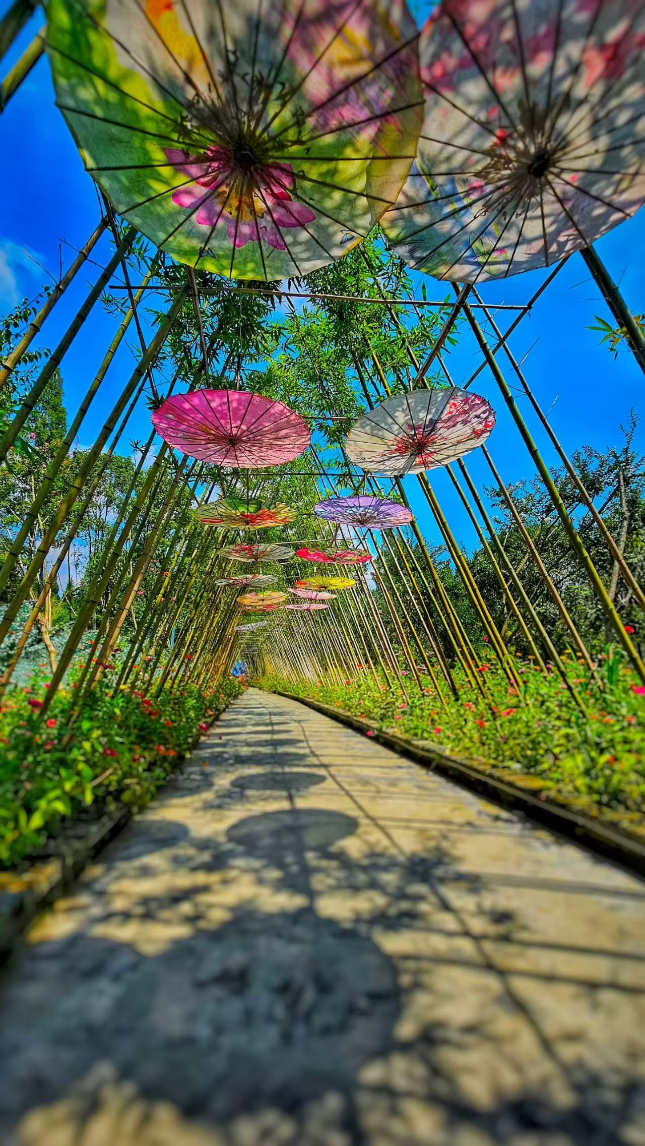 ΢��ͼƬ_20260824100945_613_317.jpg