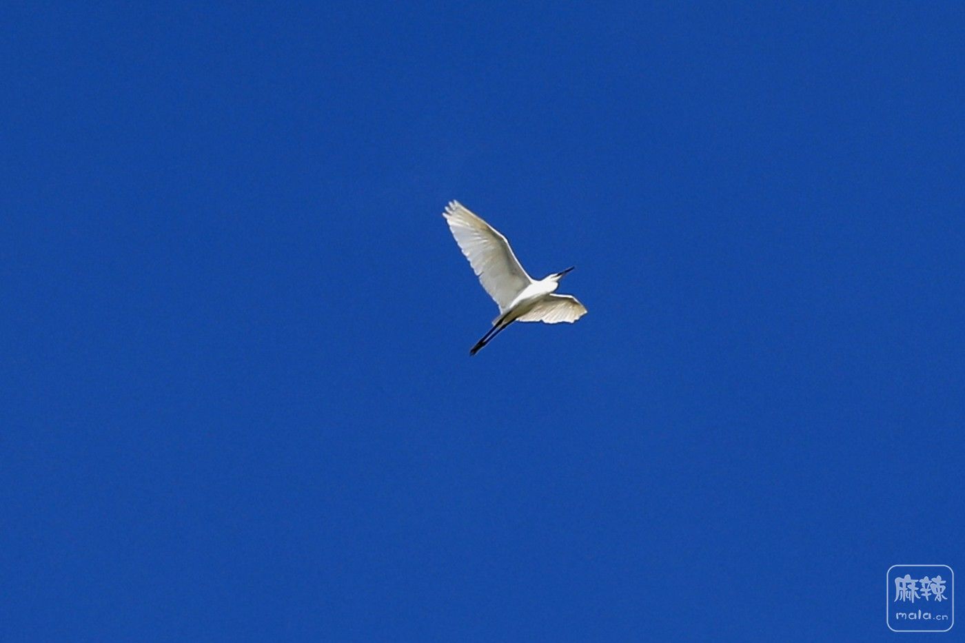0F5A9017.JPG