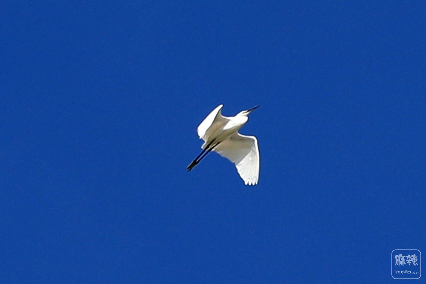 0F5A9018.JPG