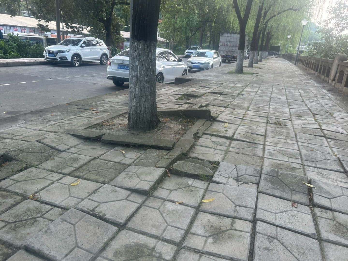 20260908210710front2_0_7918754_FsSx-uOmKrzdJG5aTHYtsI28mNd5.jpg