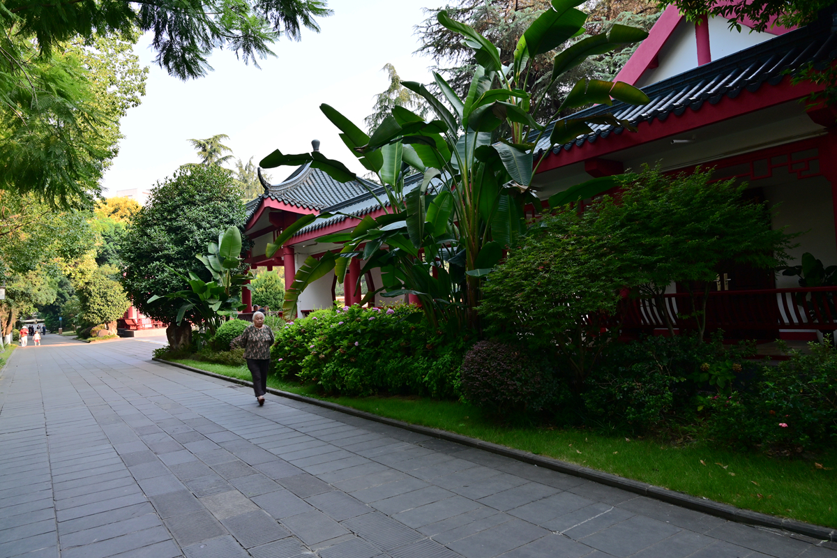 DSC_9097_����.jpg