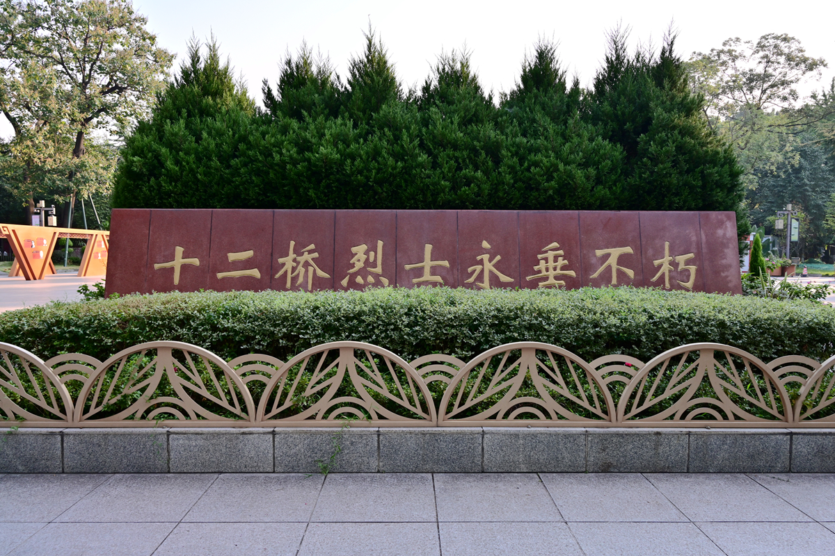 DSC_9103_����.jpg