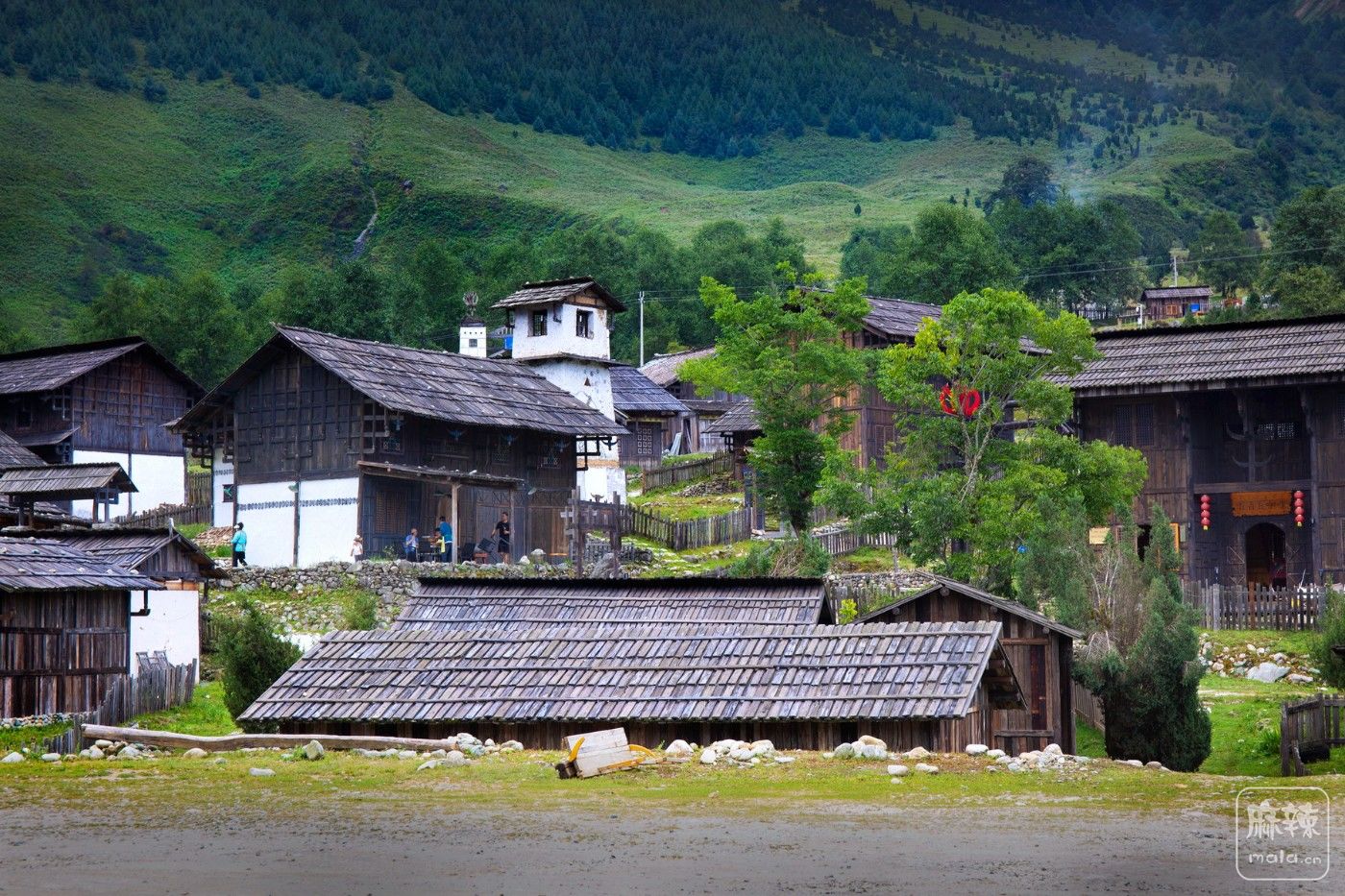 _MG_4314.jpg