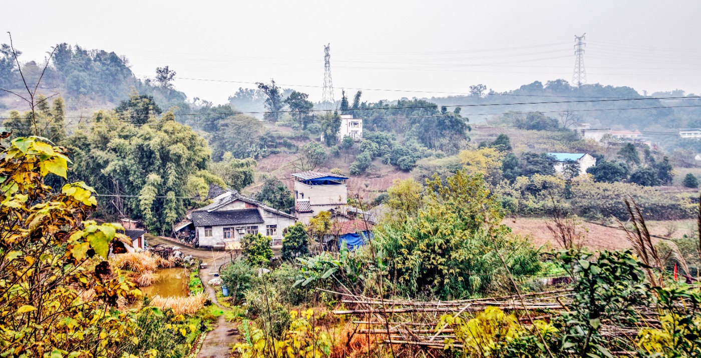 GLN_7307.JPG