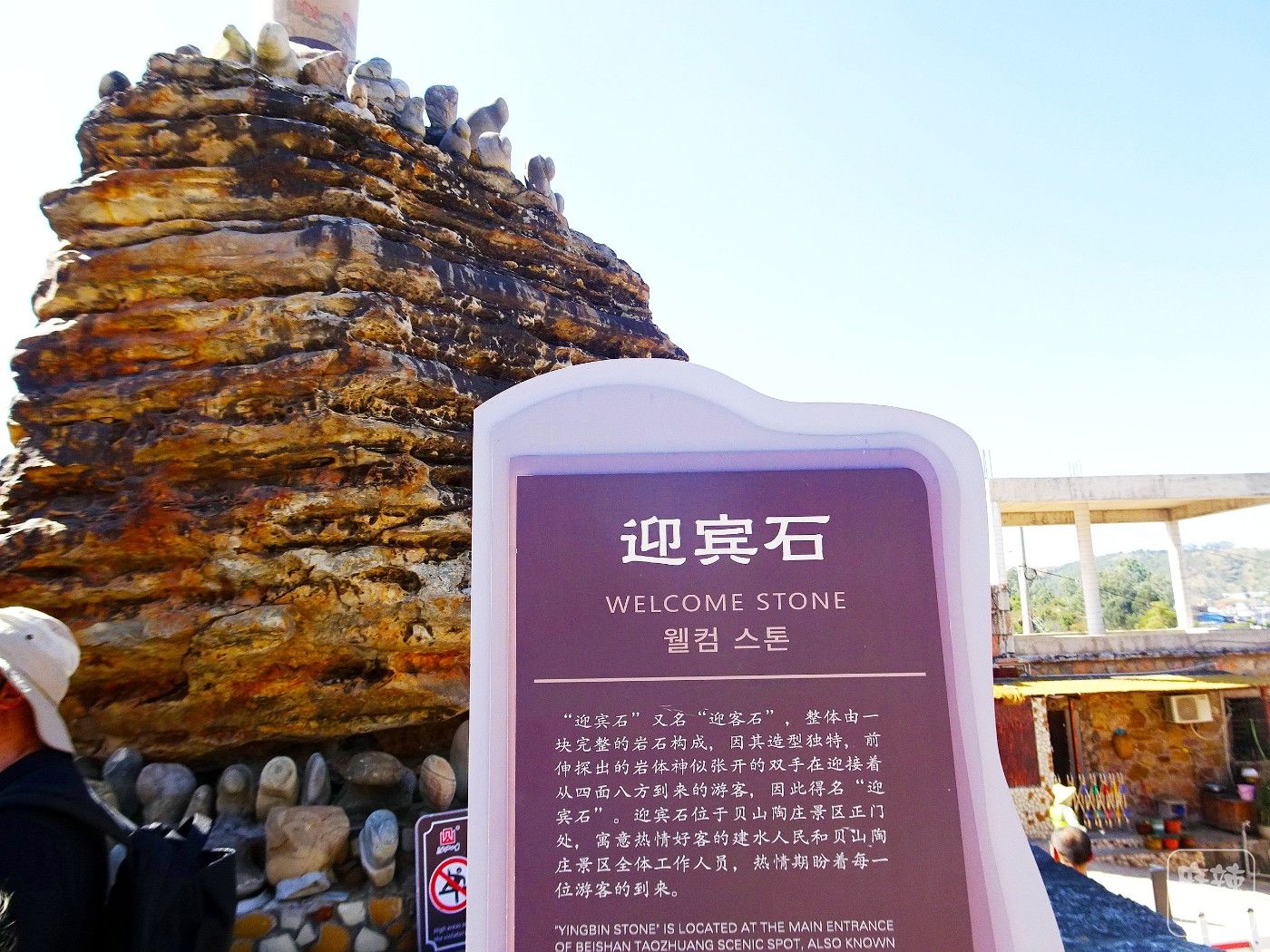 DSC02010.JPG
