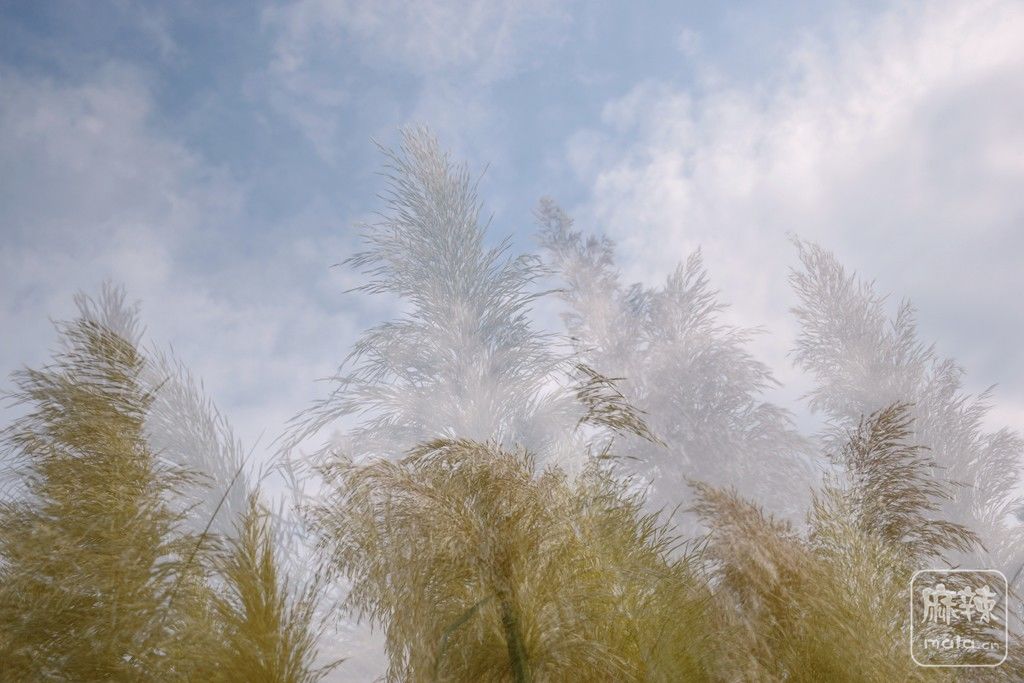 05.jpg