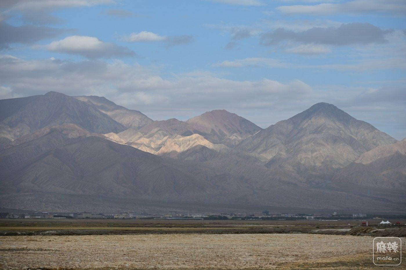 DSC_2311.JPG