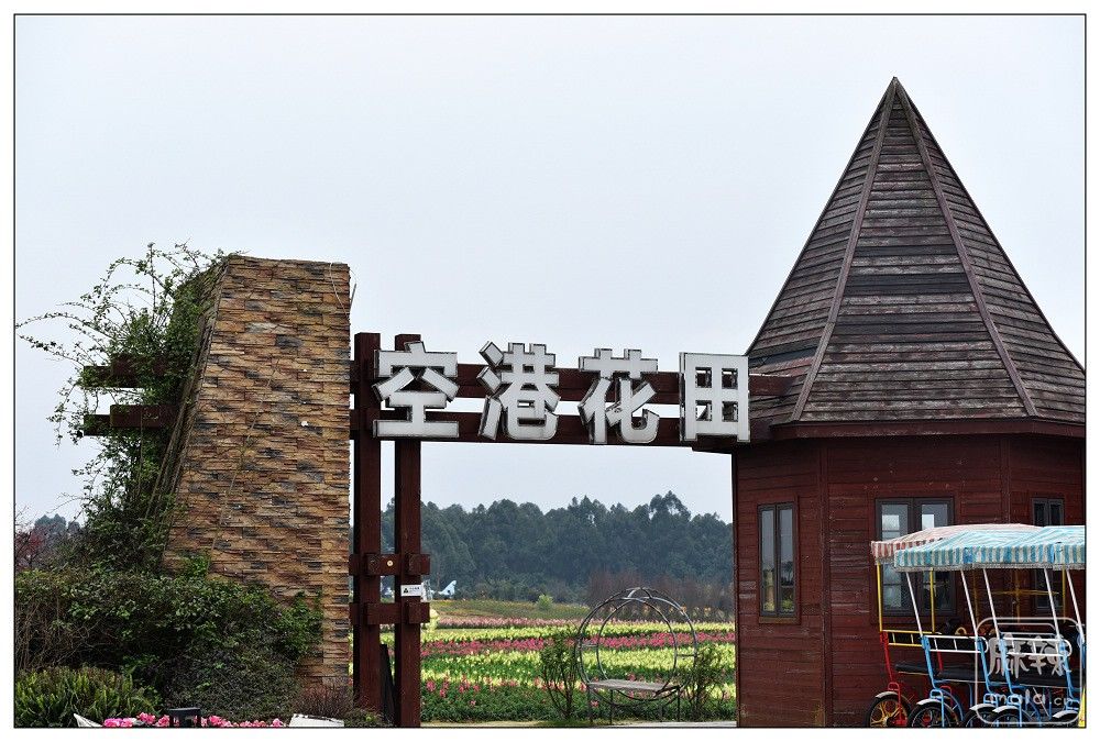 DSC_1632.jpg