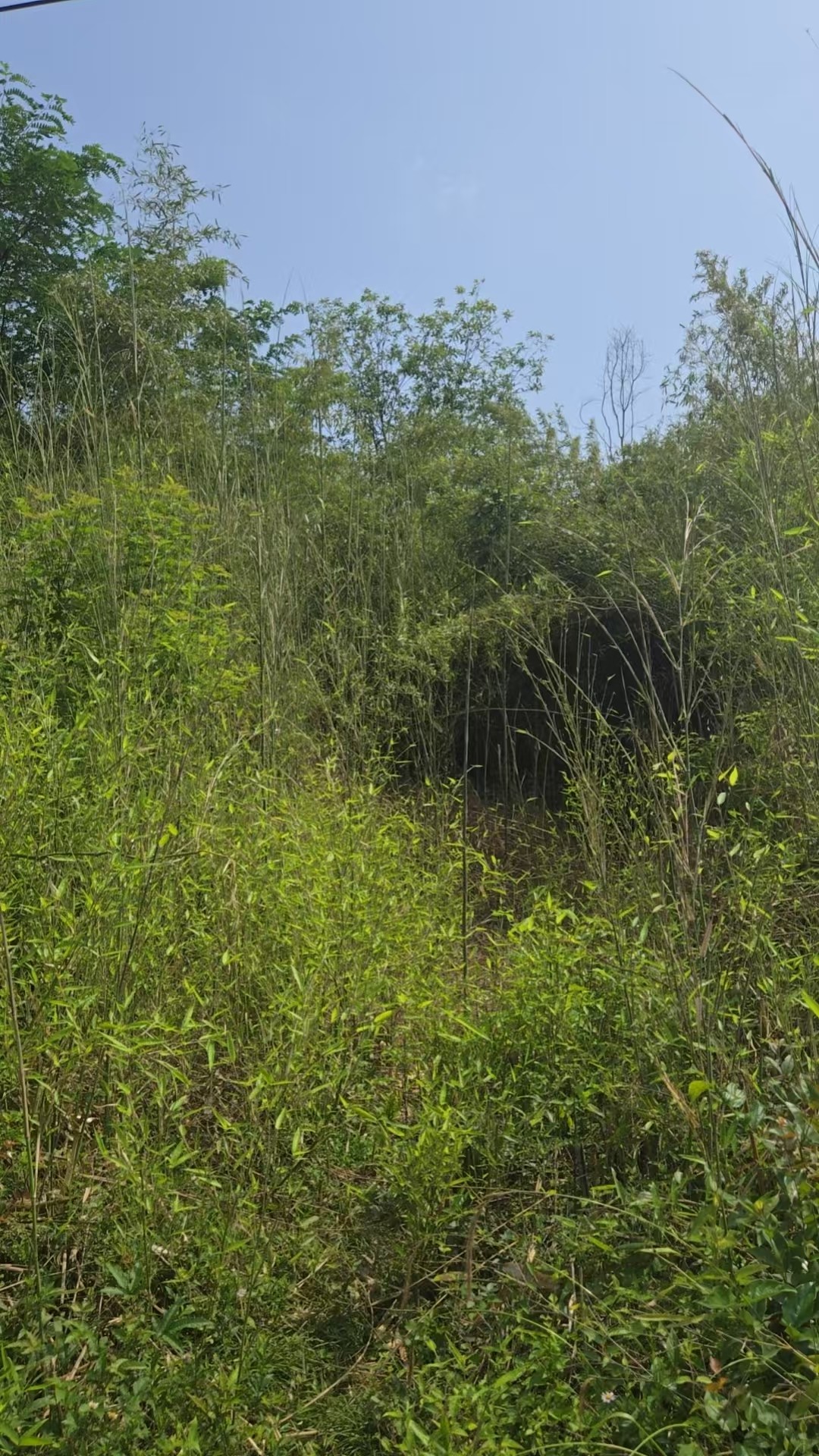 ΢��ͼƬ_20260521103558_4488_363.jpg