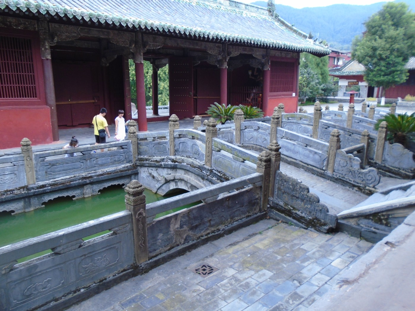 DSC06229.JPG